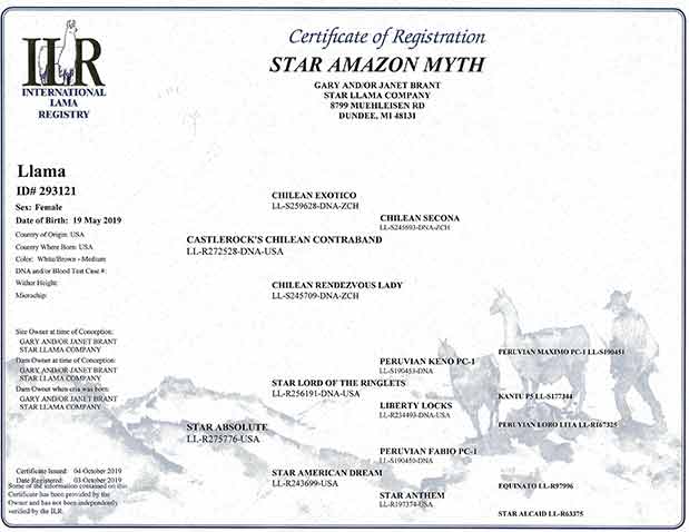 Amazon Myth certificate