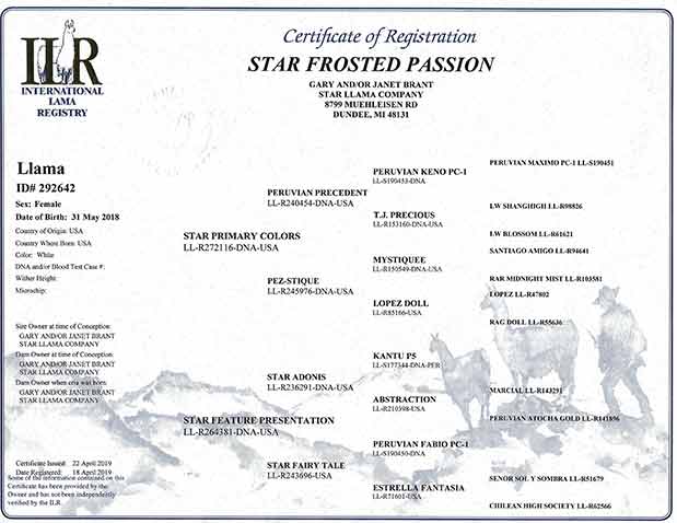 Frosted Passion certificate