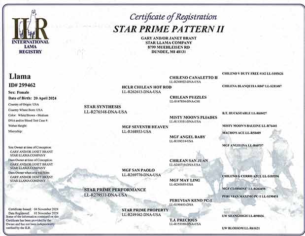 Prime Pattern II certificate