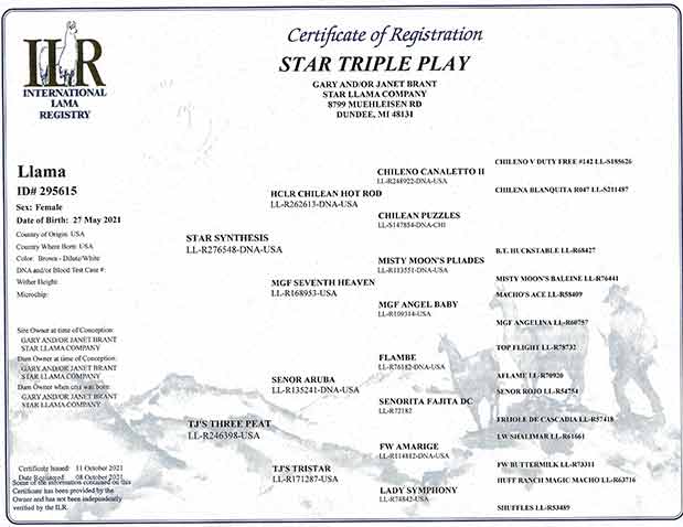 Triple Play certificate