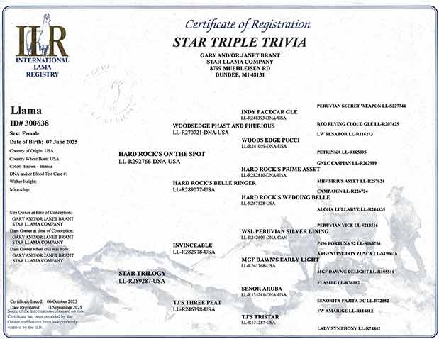 Trivia certificate