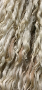 Star Primary Colors wool