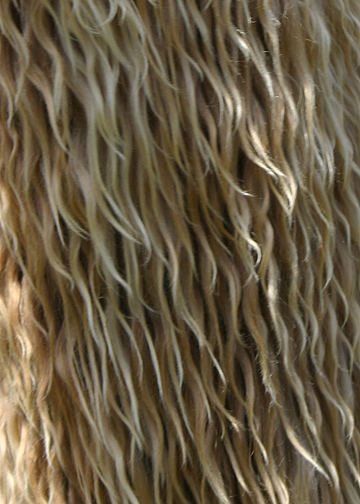Star Pattern Perfect wool shot